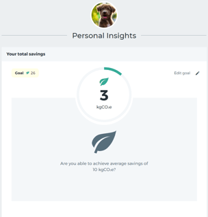 Personal savings EN